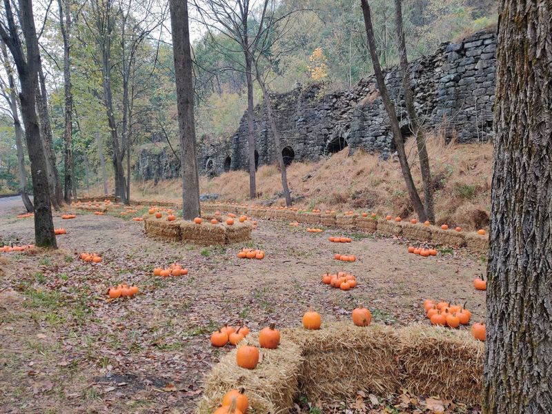 Mine Stops, Pumpkin Patches, and Picnic Time Mine Stops, Pumpkin Patches, and Picnic Time