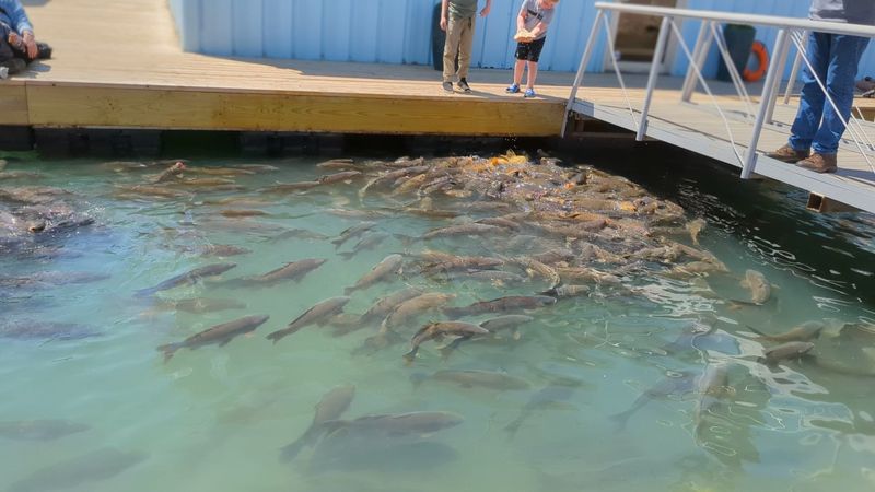Mini Golf, Fishing, and the Extras That Add Up Mini Golf, Fishing, and the Extras That Add Up