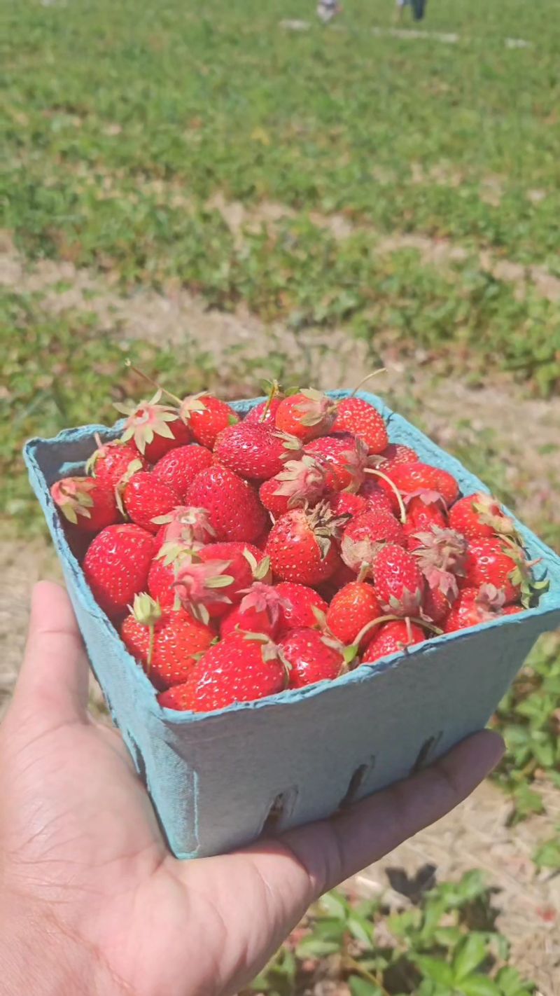 Monroe's Orchard & Farm Market - Hiram, Ohio