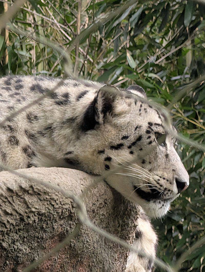 More Than 100 Species in Natural Habitats More Than 100 Species in Natural Habitats