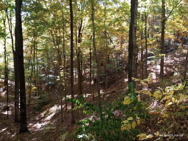 More Than 5,000 Acres of Forested Ridgelines More Than 5,000 Acres of Forested Ridgelines
