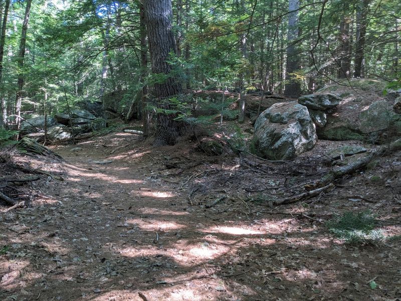 More Than Four Miles of Trail Magic Waiting to Be Explored