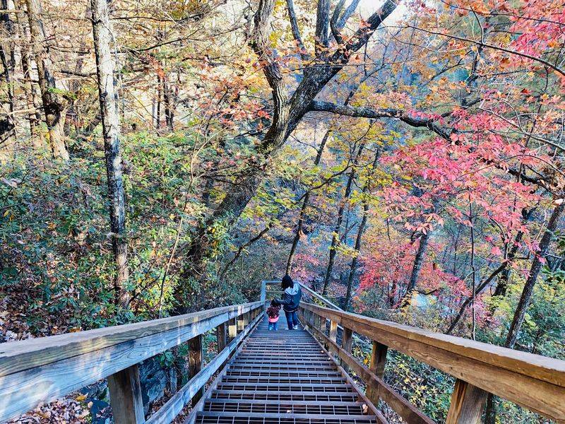 More Than a Thousand Steps Into the Gorge More Than a Thousand Steps Into the Gorge
