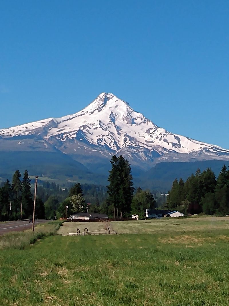 Mount Hood Looming Large Over Everything Mount Hood Looming Large Over Everything
