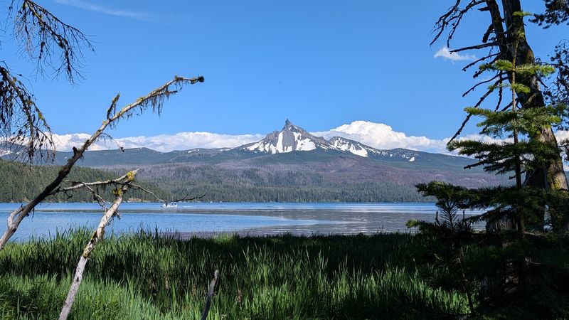 Mount Thielsen in View: The Volcanic Peak That Watches Over Every Step