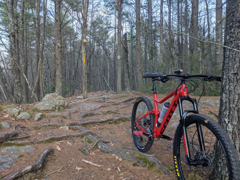 Mountain Biking Terrain That Earns Its Reputation
