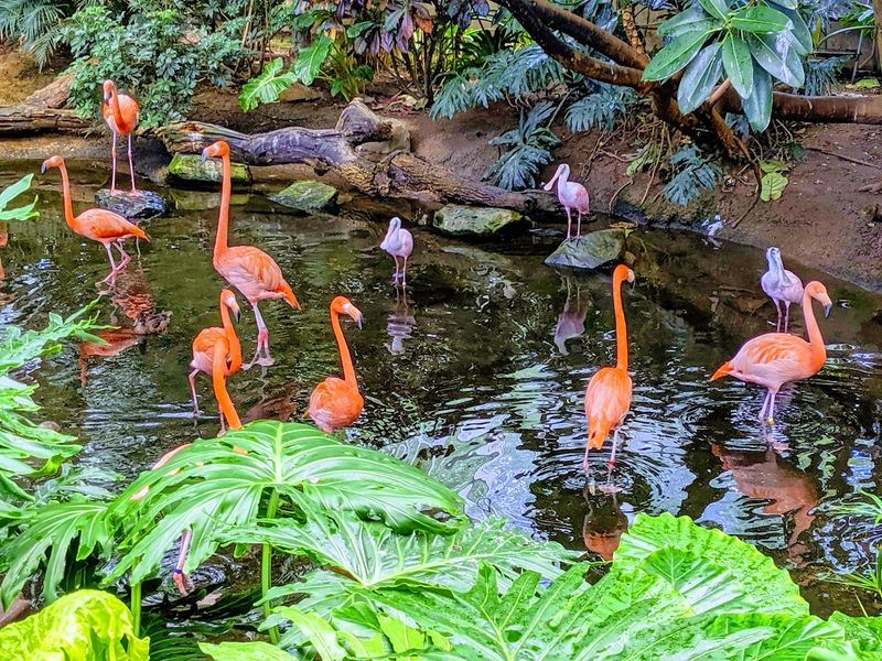 National Aviary, Pittsburgh, Pennsylvania National Aviary, Pittsburgh, Pennsylvania