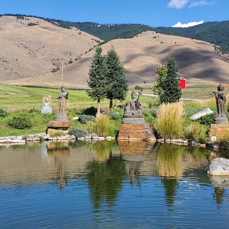 Nature, Koi Ponds, and the Art of Walking Slowly Nature, Koi Ponds, and the Art of Walking Slowly