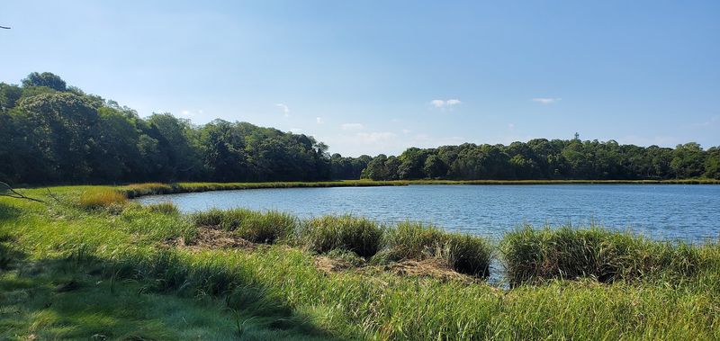 Nauset Marsh Trail, Eastham