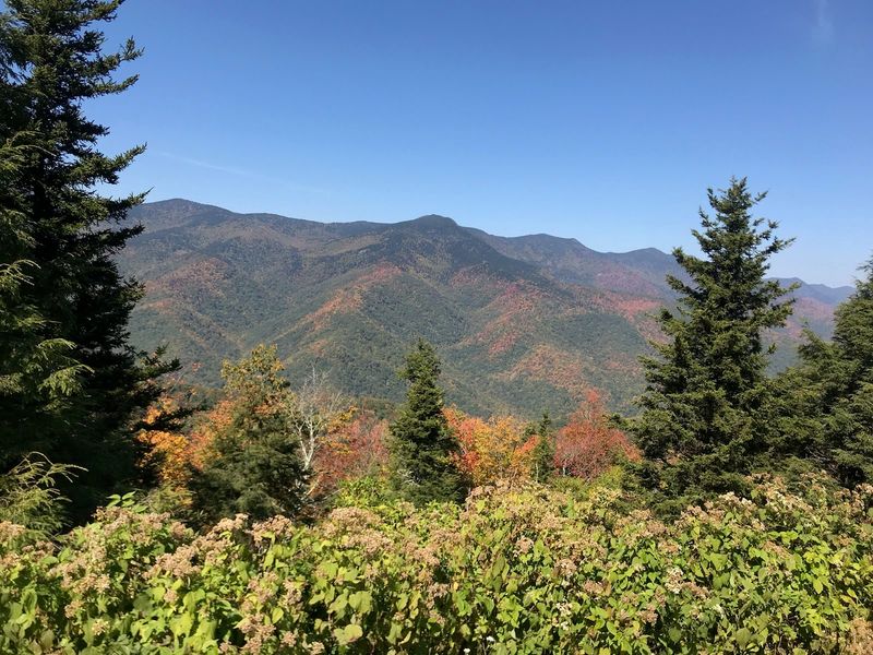 Nearby Tellico Plains Nearby Tellico Plains