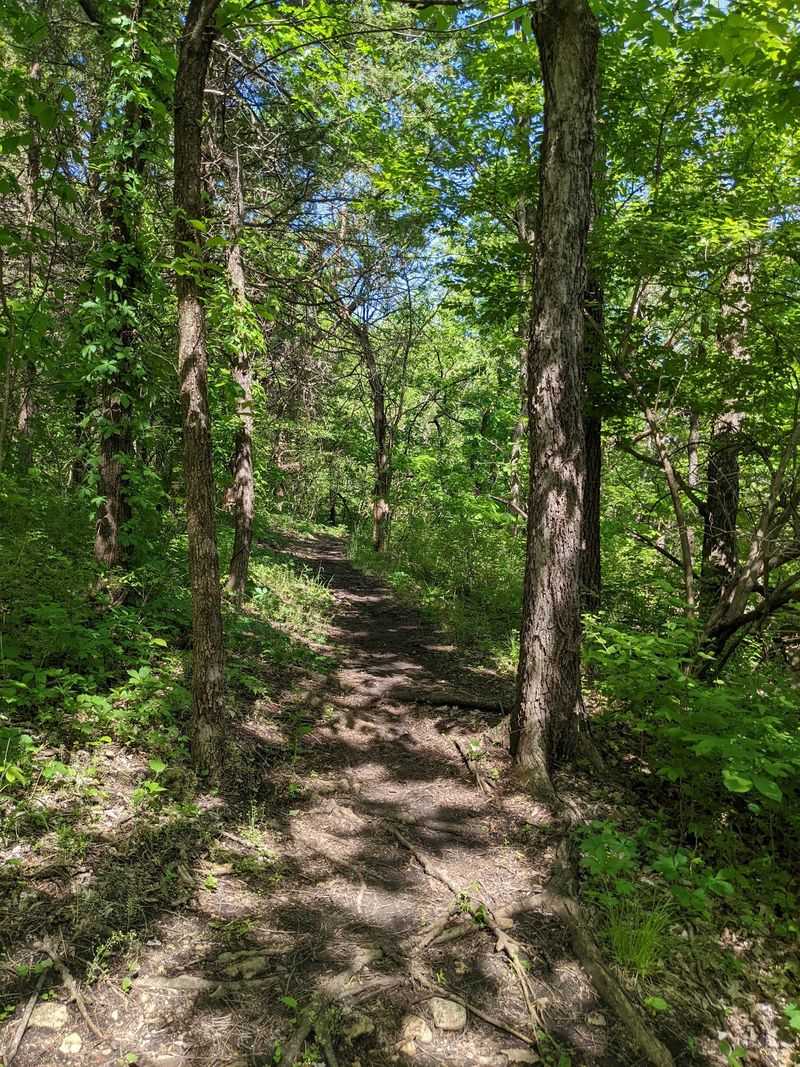 Nearly 25 Miles of Trails Built for Every Skill Level Nearly 25 Miles of Trails Built for Every Skill Level