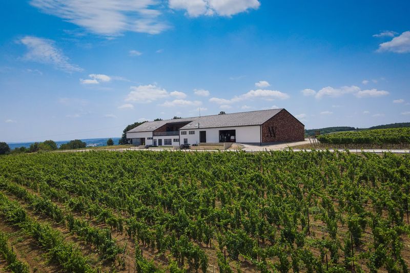 Negotin Wine Country, Serbia Negotin Wine Country, Serbia