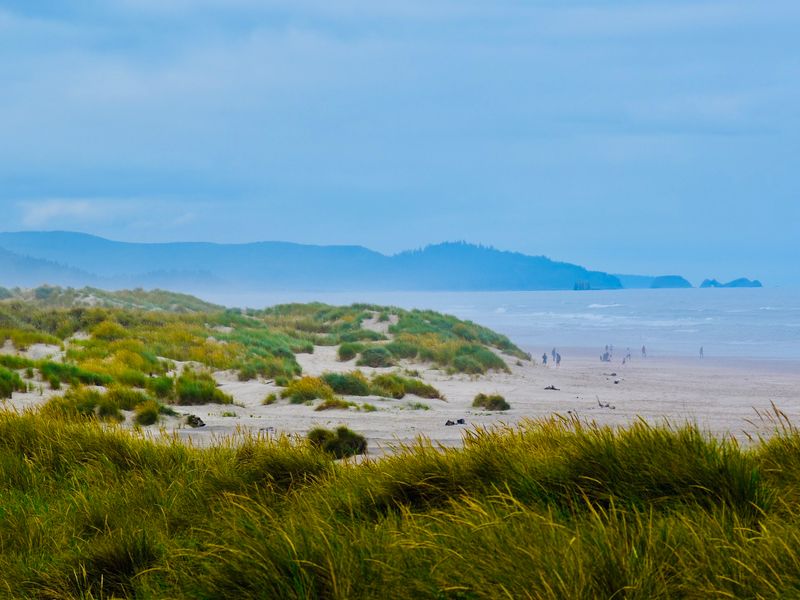 Nehalem Bay State Park Next Door Nehalem Bay State Park Next Door