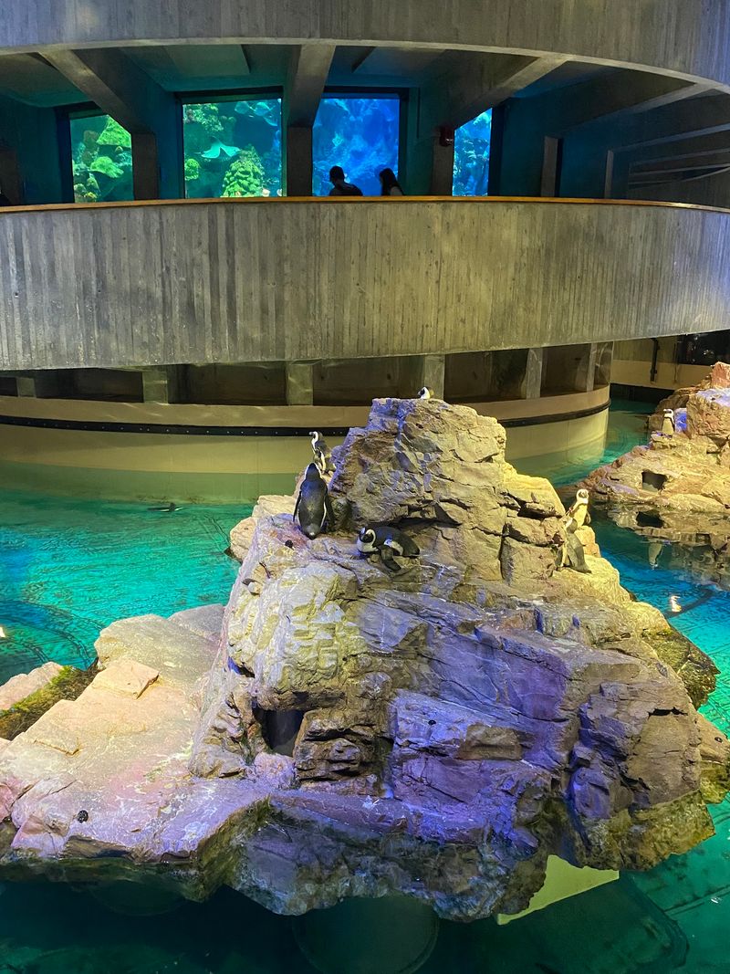New England Aquarium, Boston, MA