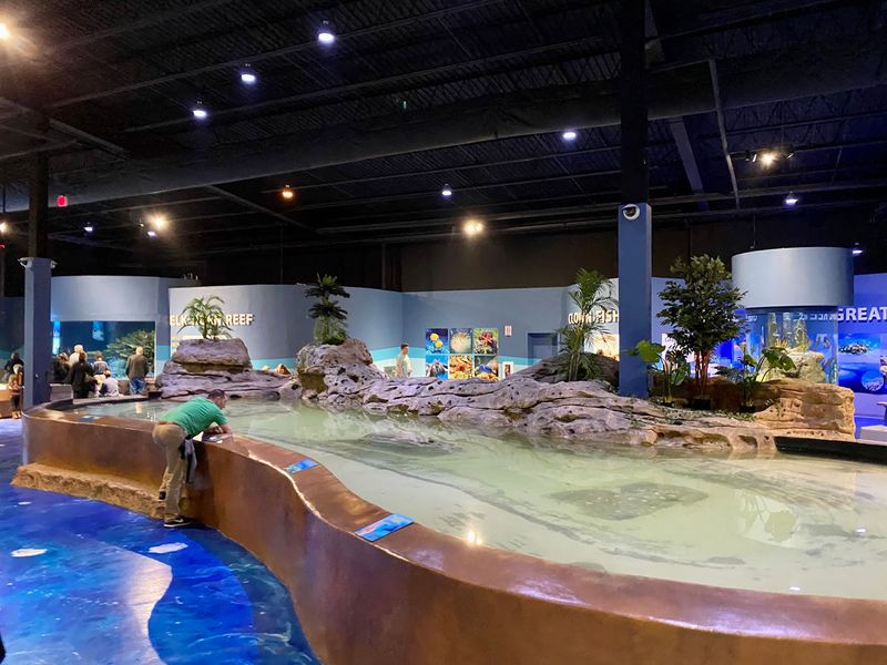 Night At The Aquarium: Adults-Only After-Hours Events Night At The Aquarium: Adults-Only After-Hours Events
