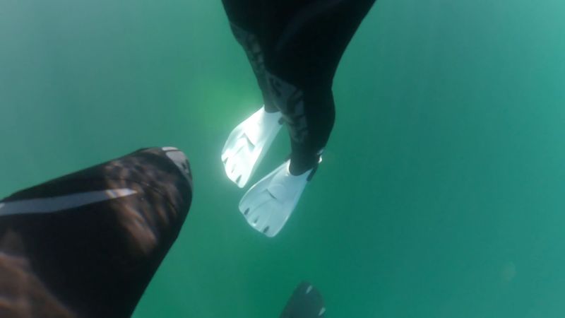 Night Dives and Deep Dives for Experienced Divers Night Dives and Deep Dives for Experienced Divers