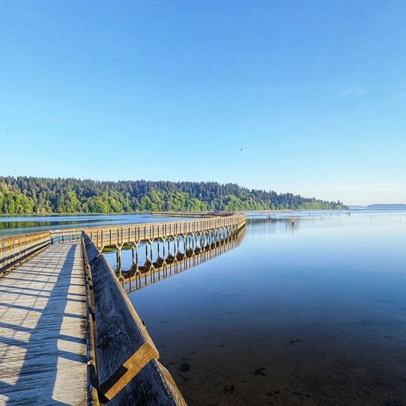 Nisqually Estuary Boardwalk, Olympia, Washington Nisqually Estuary Boardwalk, Olympia, Washington