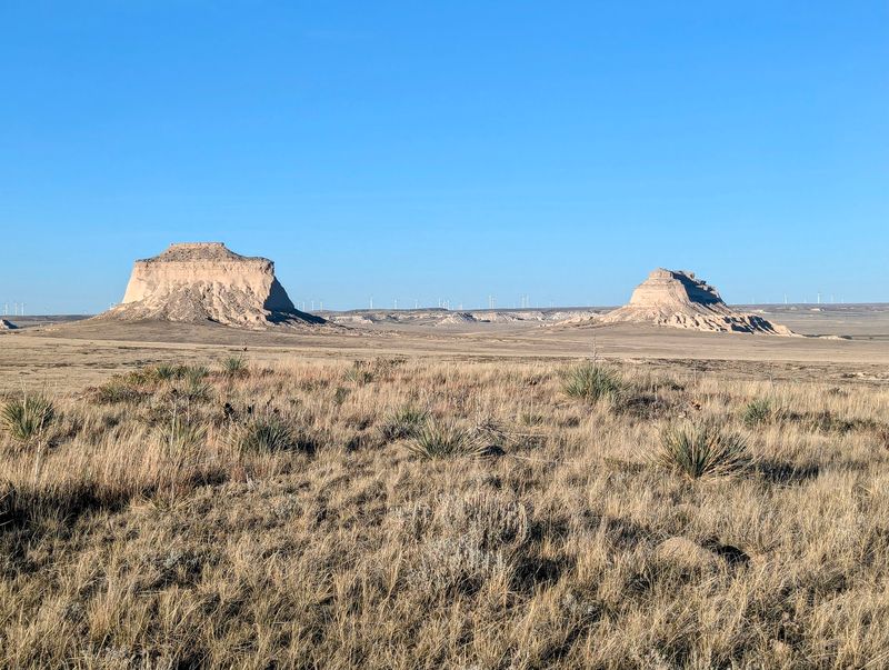 No Shade, No Water: Preparing for the Open Prairie