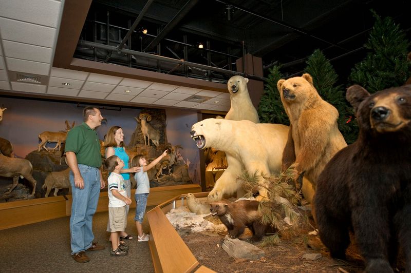North America's Wild Side, Preserved in Stunning Detail North America's Wild Side, Preserved in Stunning Detail