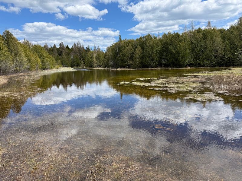 North Bay-Mud Lake Preserve, Baileys Harbor, Wisconsin North Bay-Mud Lake Preserve, Baileys Harbor, Wisconsin