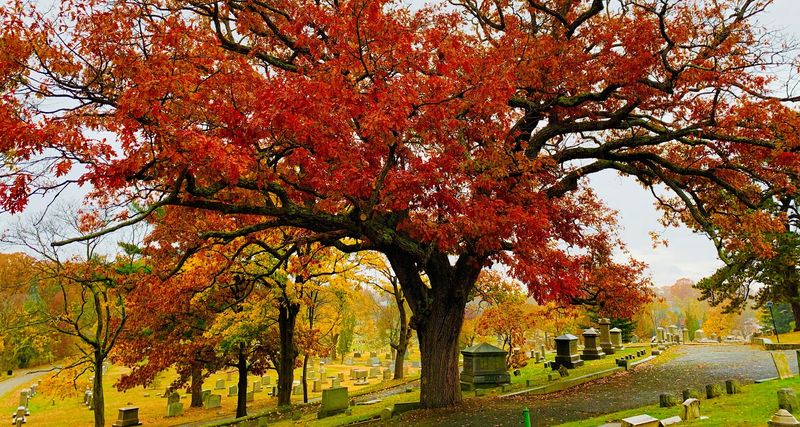 North Burial Ground, Providence, Rhode Island North Burial Ground, Providence, Rhode Island