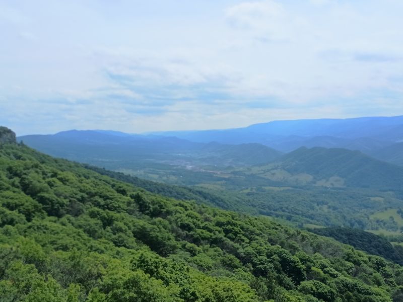 North Fork Mountain Lookout Tower(site), Upper Tract, WV North Fork Mountain Lookout Tower(site), Upper Tract, WV