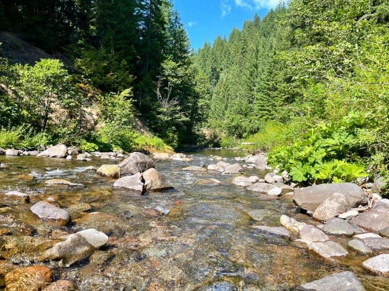 North Santiam River - Willamette Valley North Santiam River - Willamette Valley