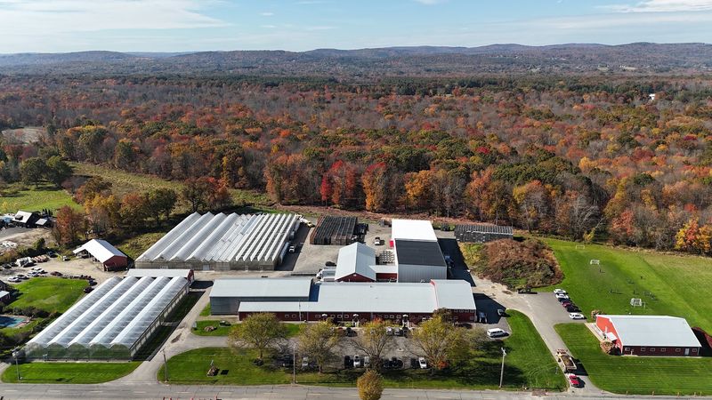 Nourse Farms, Whately Nourse Farms, Whately