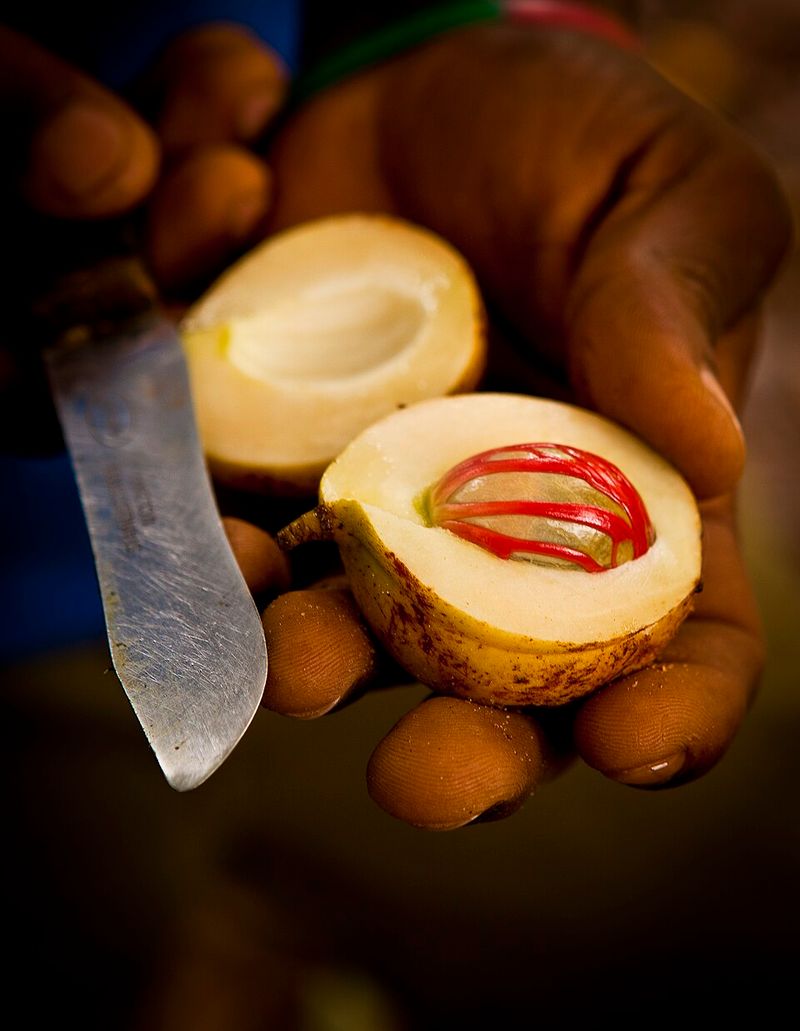 Nutmeg