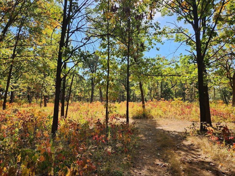 Oak Savannas and Prairie: A Rare Combination Oak Savannas and Prairie: A Rare Combination