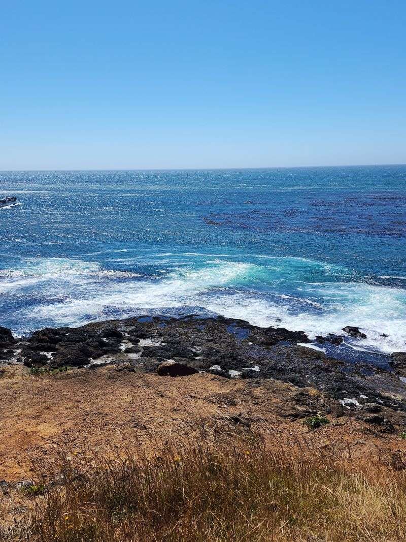 Ocean Views and Whale Watching at the Door Ocean Views and Whale Watching at the Door