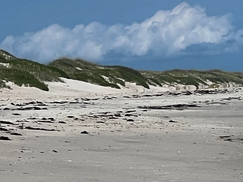 Ocracoke Island, North Carolina, Ocracoke