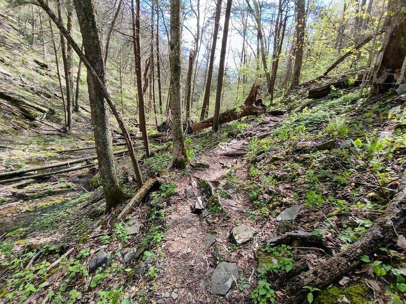 Old Logger's Path and the Ghost of Masten Old Logger's Path and the Ghost of Masten