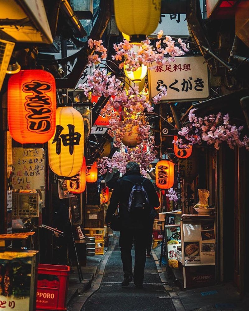 Omoide Yokocho, Tokyo, Japan Omoide Yokocho, Tokyo, Japan