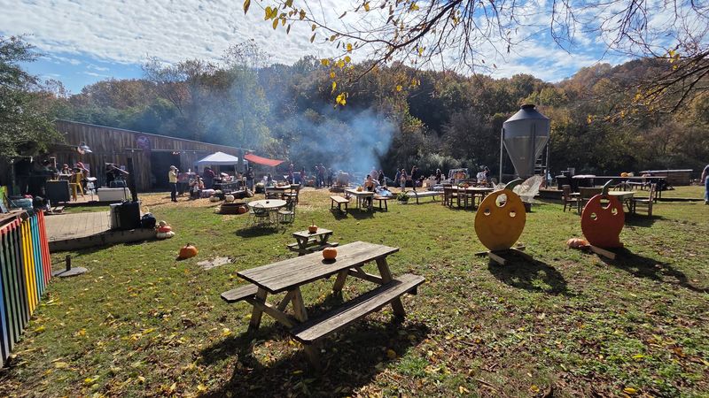 Open Farm Days and How to Plan a Visit Open Farm Days and How to Plan a Visit