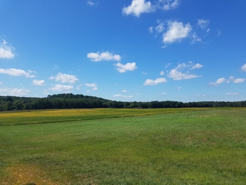 Open Fields With Room To Read The Land Open Fields With Room To Read The Land