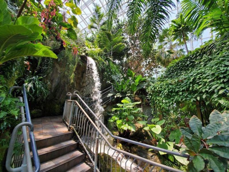 Orchids, Cacti, and Rare Asian Species Worth Seeking Out