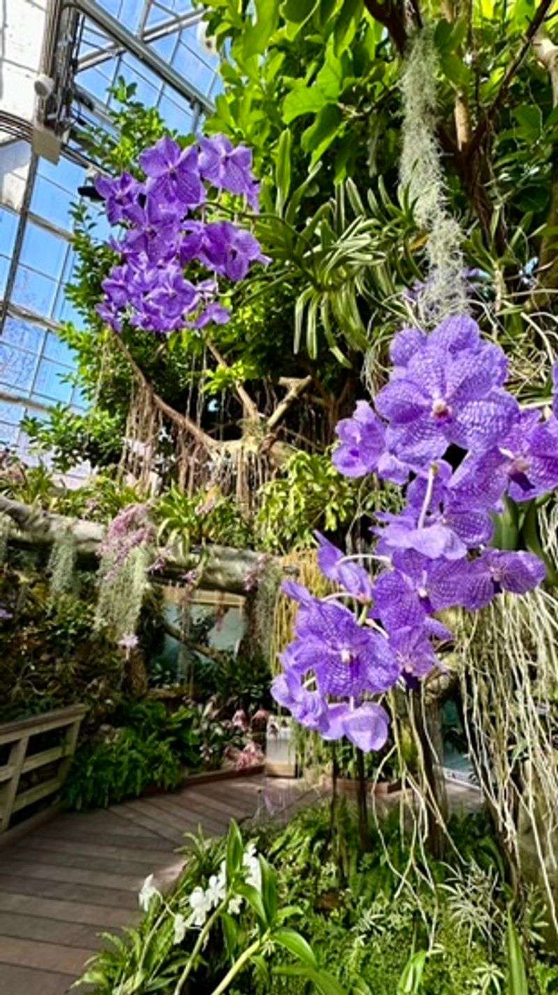 Orchids, State Flowers, and Rotating Exhibits