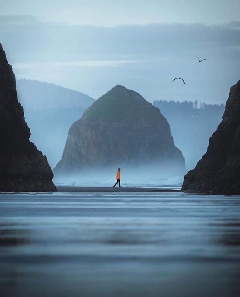 Oregon’s Coast Range trail is still taking shape Oregon’s Coast Range trail is still taking shape