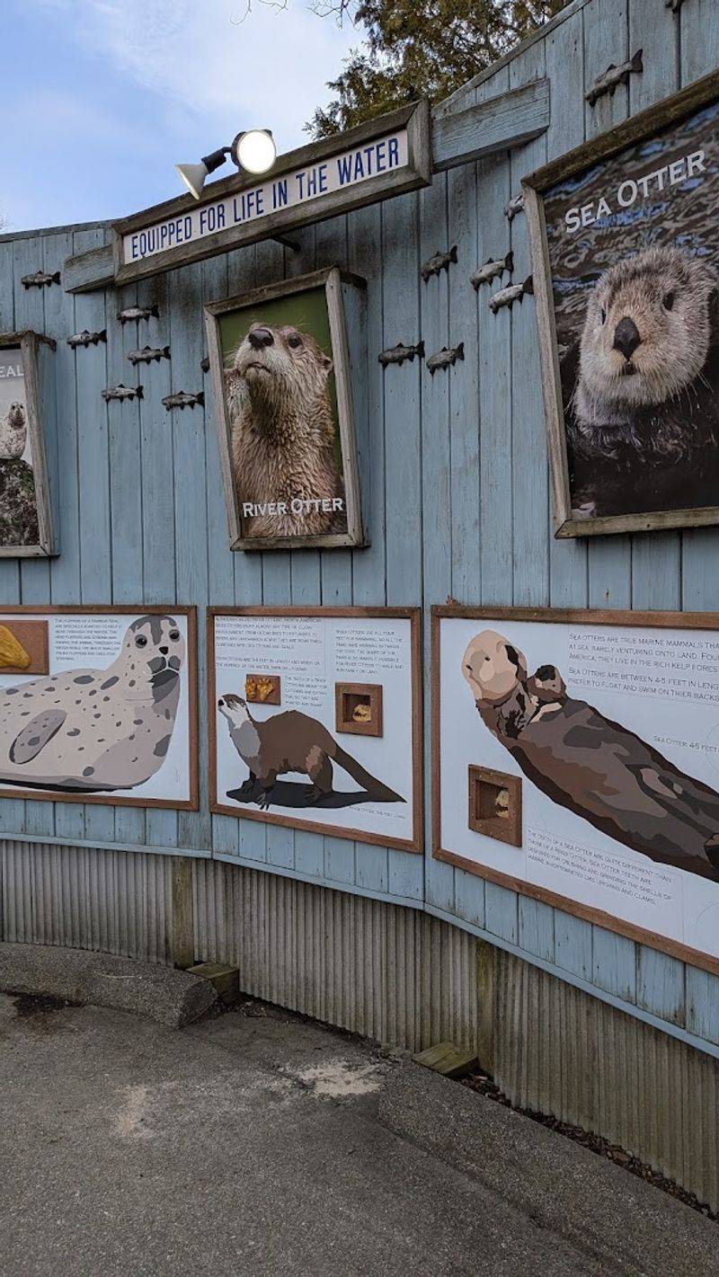 Otters, Sloths, and the Crowd-Pleasing Regulars Otters, Sloths, and the Crowd-Pleasing Regulars