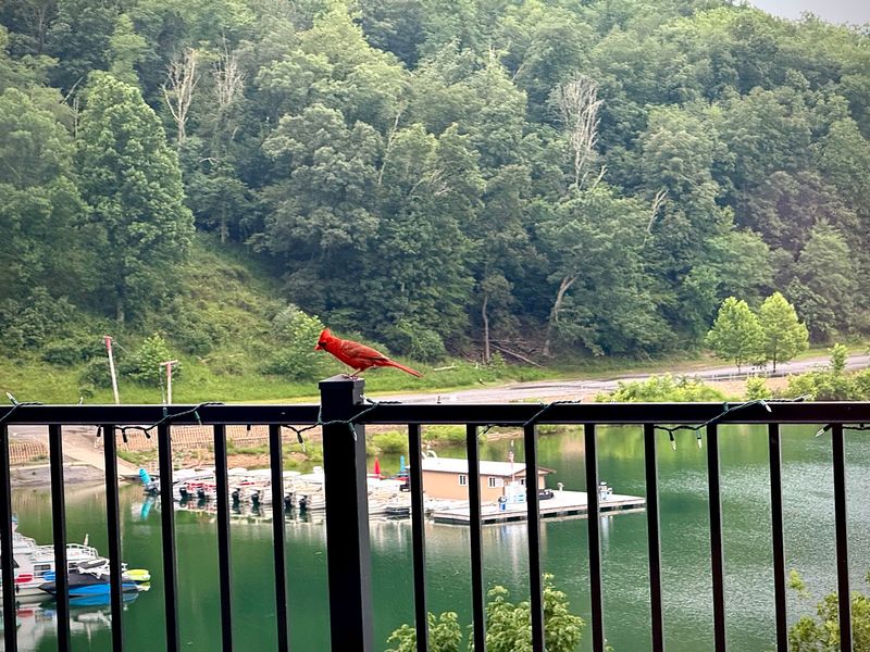 Outdoor Activities That Surround Every Meal