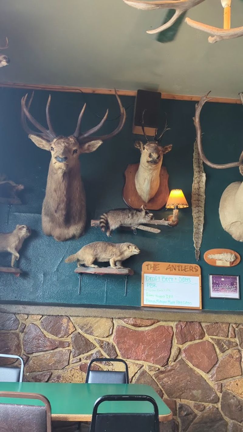 Over 200 Mounted Animals and Counting Over 200 Mounted Animals and Counting