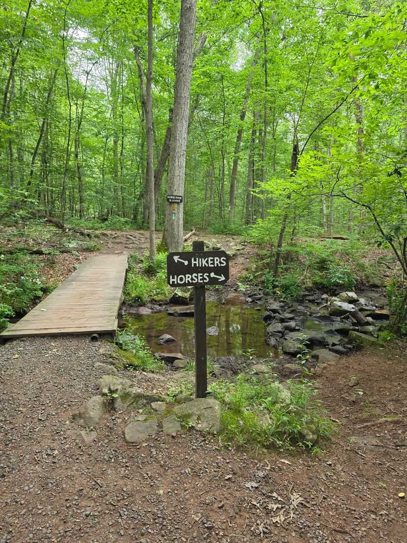 Over 30 Miles of Trails for Every Type of Explorer Over 30 Miles of Trails for Every Type of Explorer