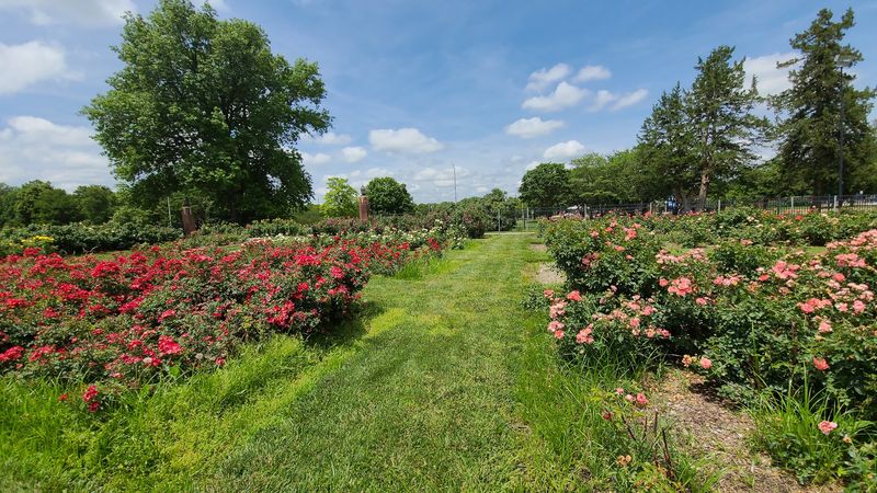 Over 400 Varieties Packed Into One Spectacular Space Over 400 Varieties Packed Into One Spectacular Space