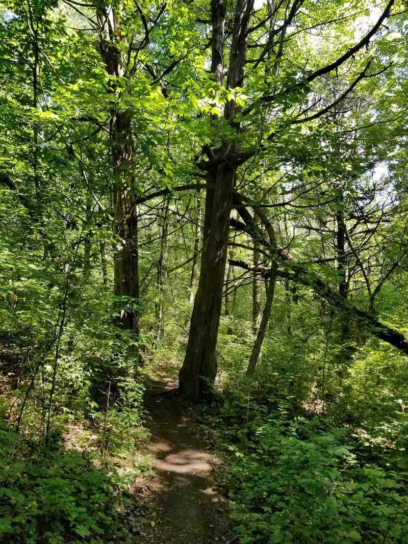 Over Fifty Miles of Trails to Roam Over Fifty Miles of Trails to Roam