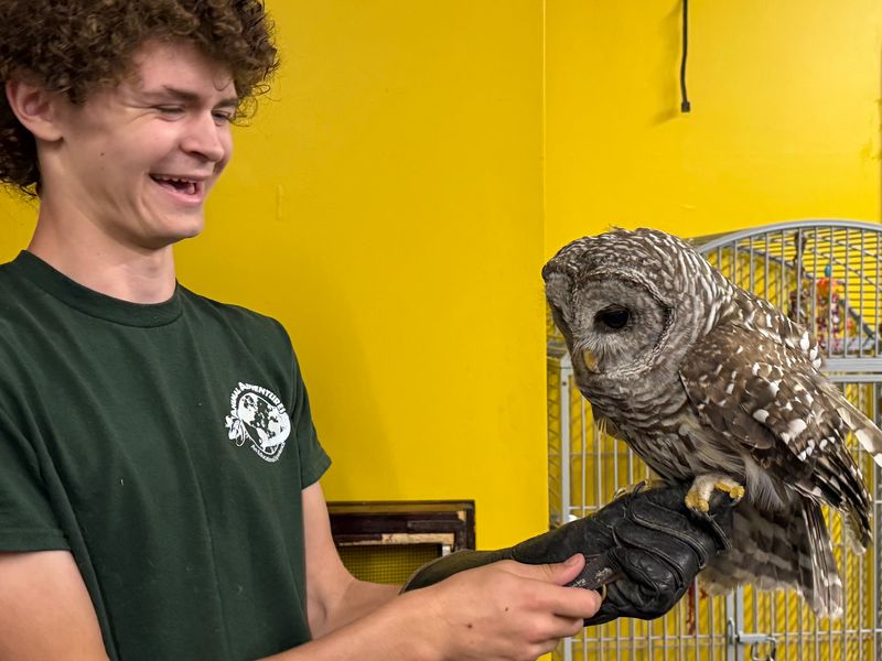 Owls That Are Chattier Than You Expect
