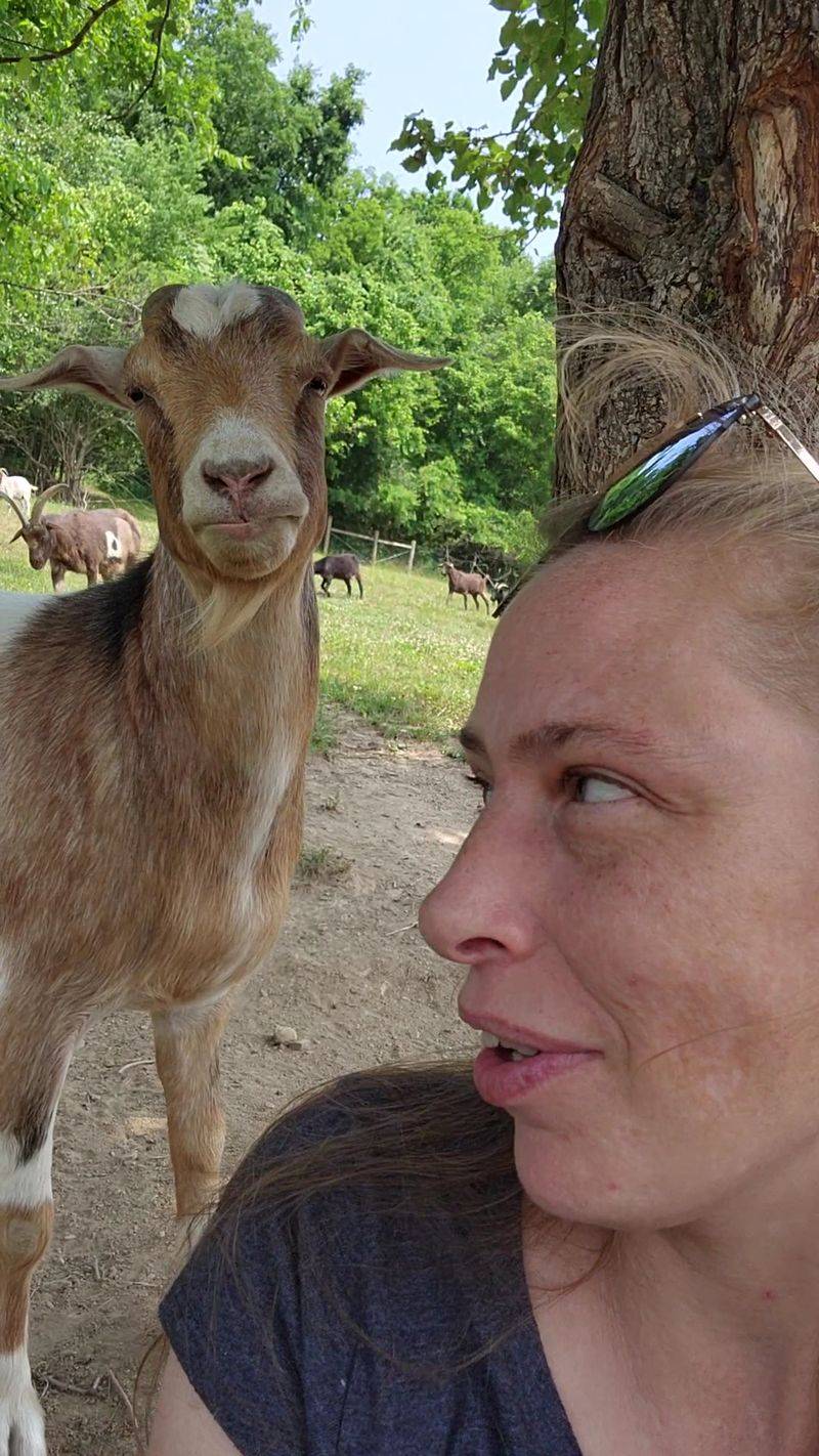 Owners and Volunteers Who Know Their Animals Owners and Volunteers Who Know Their Animals