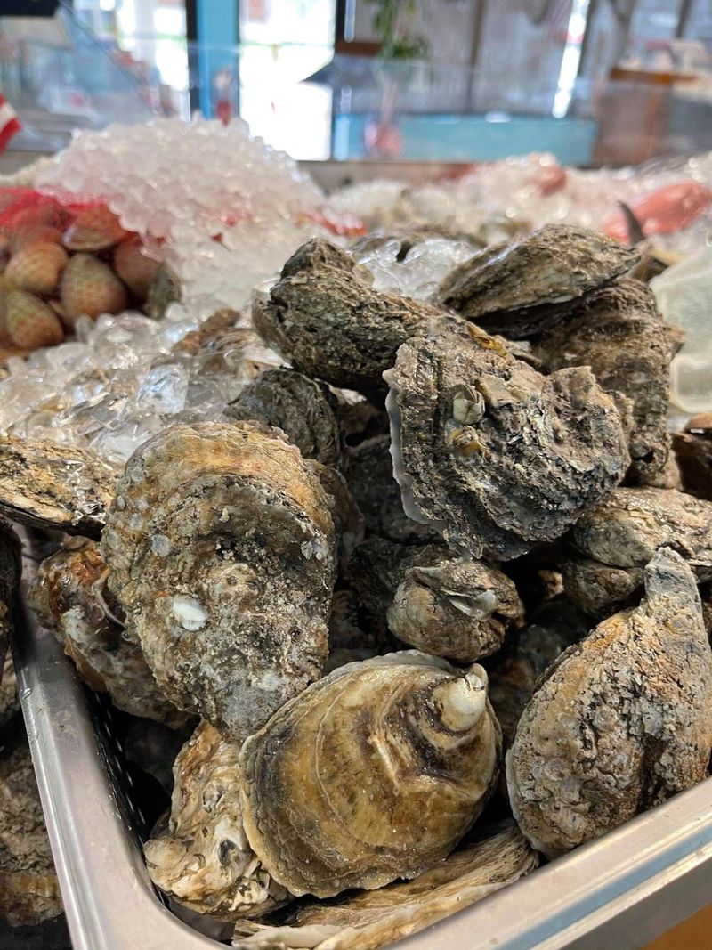Oyster Guidance Without The Guesswork Oyster Guidance Without The Guesswork