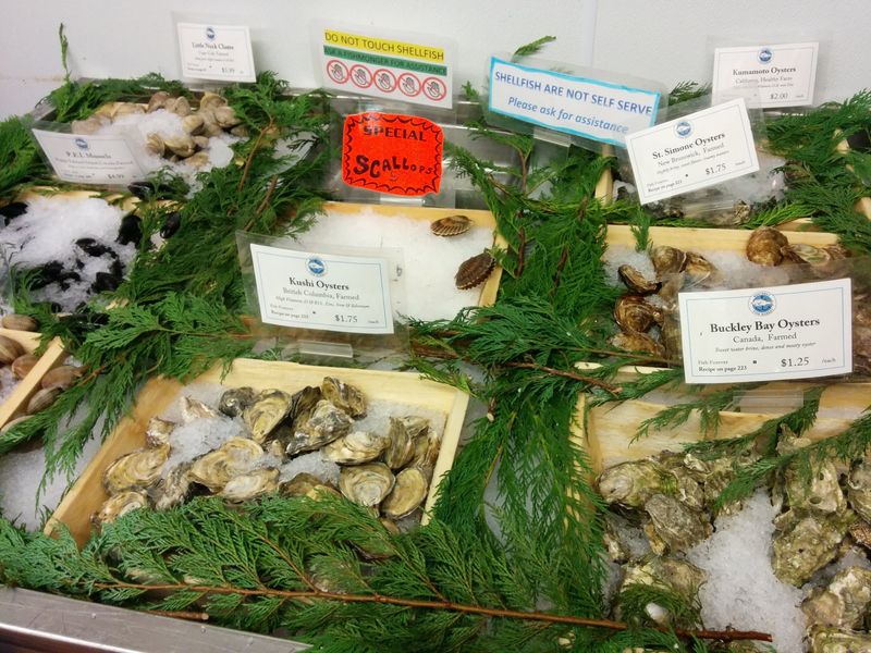 Oysters, Clams, and Scallops for the Shellfish Lover