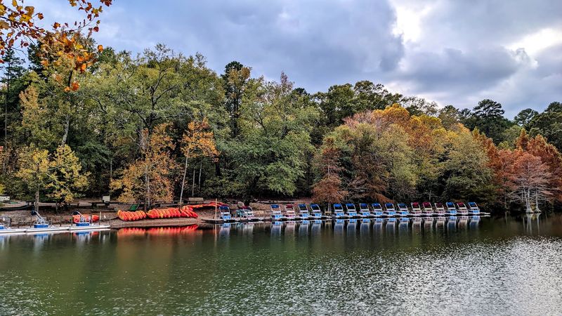 Paddle Boats and the Island Worth Finding Paddle Boats and the Island Worth Finding